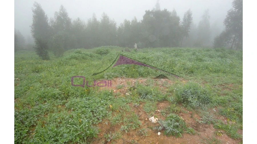 Terreno para Venda em Praia do Ribatejo