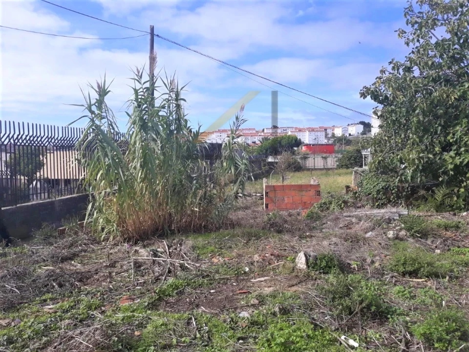 Terreno para Venda em Ajuda Foto 4