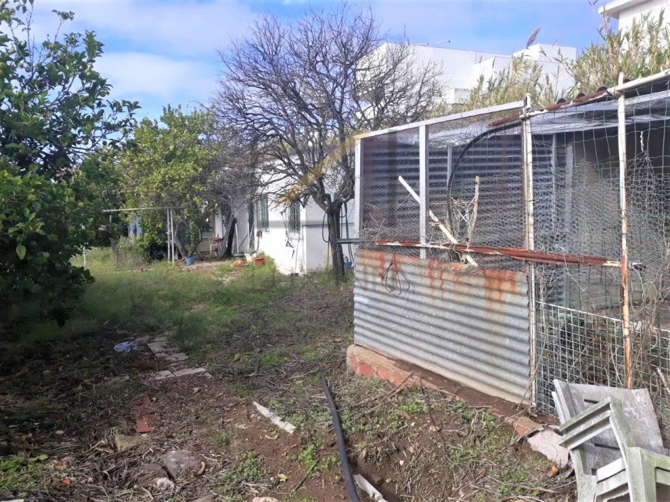 Terreno para Venda em Ajuda Foto 9