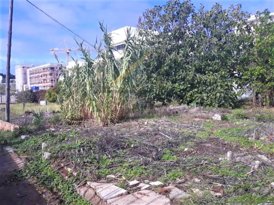 Terreno para Venda em Ajuda Foto 10