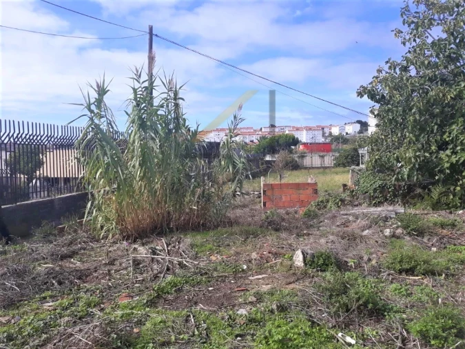 Terreno para Venda em Ajuda Foto 4