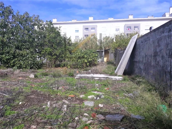 Terreno para Venda em Ajuda Foto 5