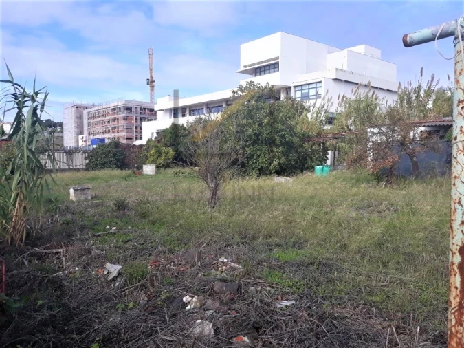 Terreno para Venda em Ajuda Foto 6