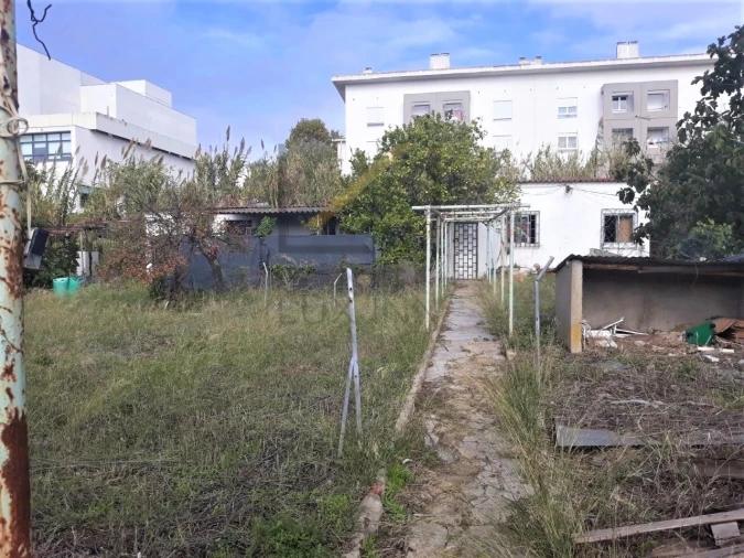 Terreno para Venda em Ajuda Foto 7