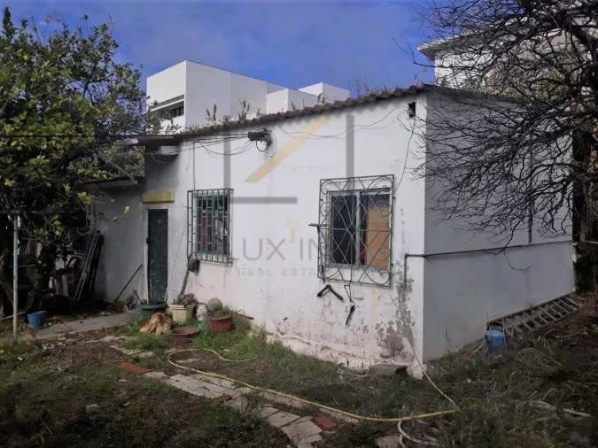 Terreno para Venda em Ajuda Foto 8