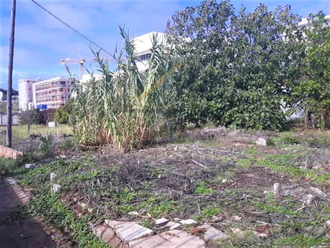 Terreno para Venda em Ajuda Foto 10