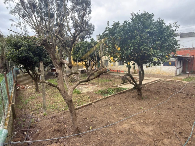 Moradia T1 para Venda em Amora Foto 6