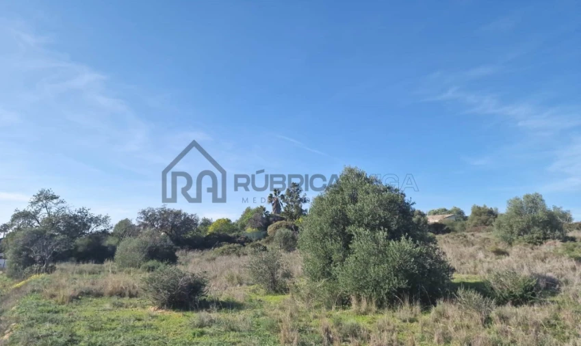 Terreno para Venda em Almancil Foto 4