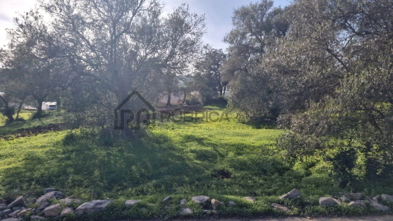 Terreno para Venda em São Brás de Alportel Foto 3