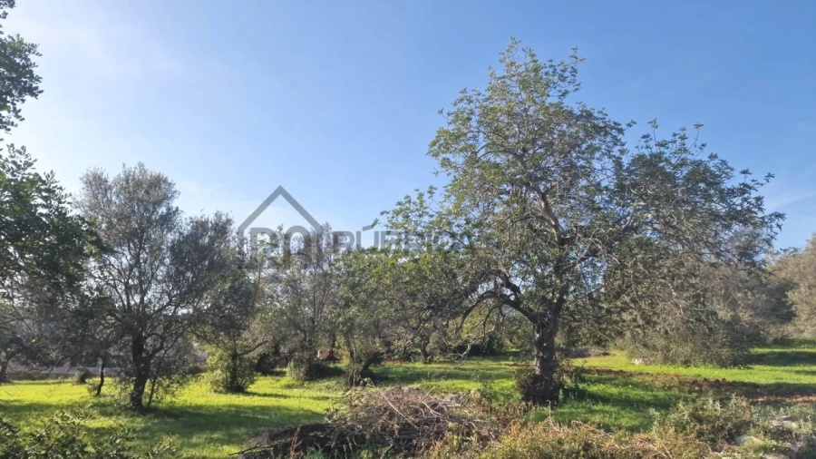 Terreno para Venda em São Brás de Alportel