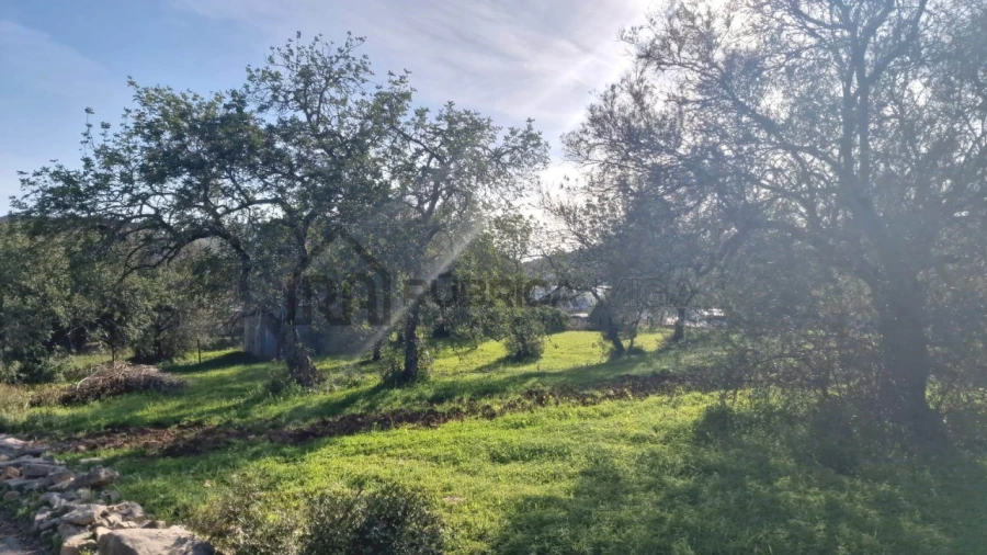 Terreno para Venda em São Brás de Alportel Foto 4