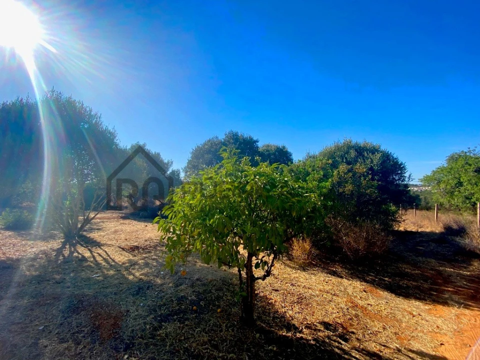 Terreno para Venda em Almancil Foto 1