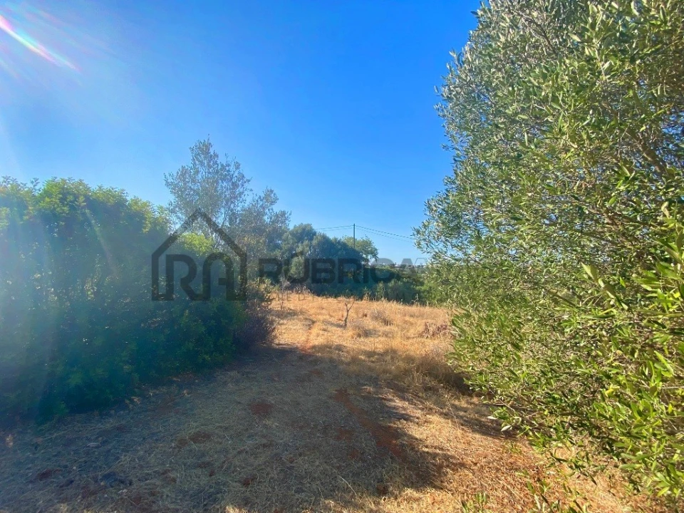 Terreno para Venda em Almancil Foto 2