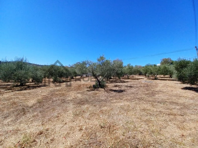 Terreno para Venda em São Brás de Alportel