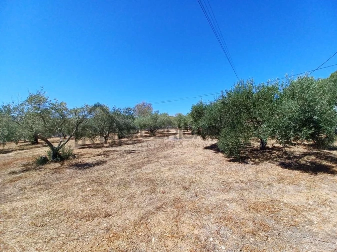 Terreno para Venda em São Brás de Alportel Foto 2
