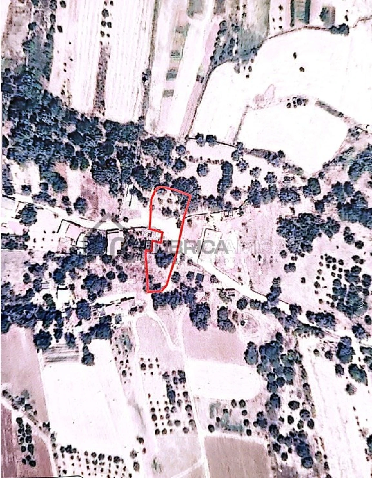 Terreno para Venda em Salir Foto 3