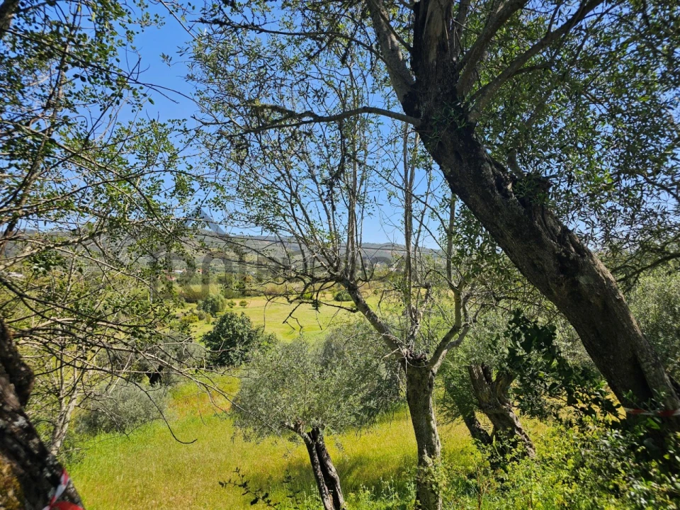 Terreno para Venda em Salir Foto 8