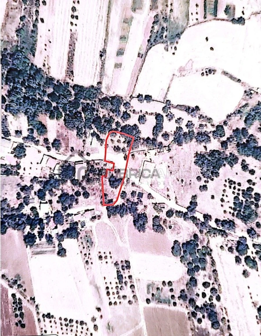 Terreno para Venda em Salir Foto 3