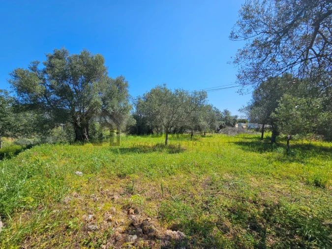 Terreno para Venda em Salir Foto 7