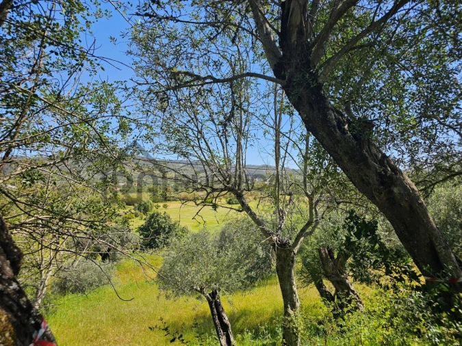 Terreno para Venda em Salir Foto 8