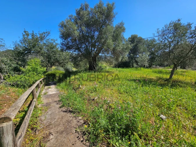 Terreno para Venda em Salir Foto 9