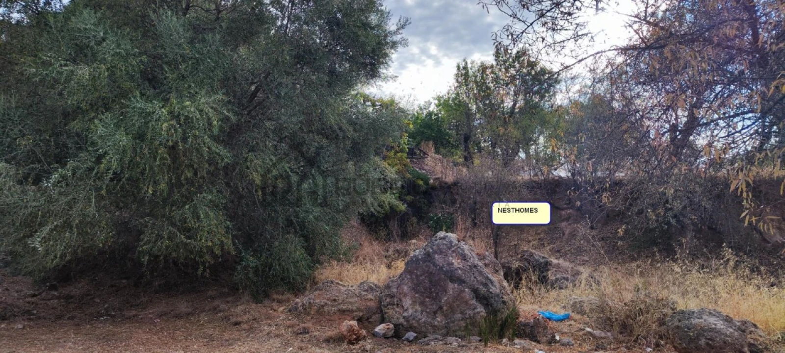 Terreno para Venda em Salir Foto 2