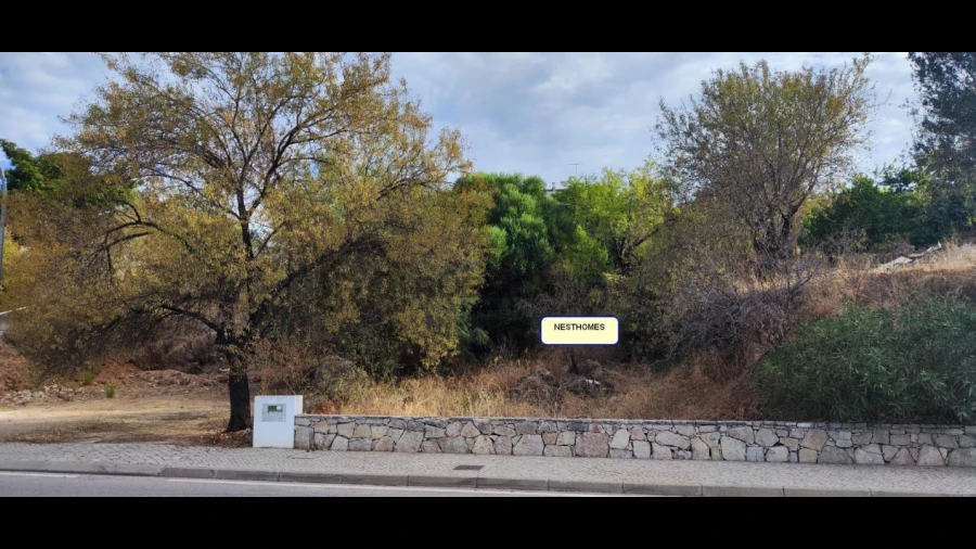 Terreno para Venda em Salir