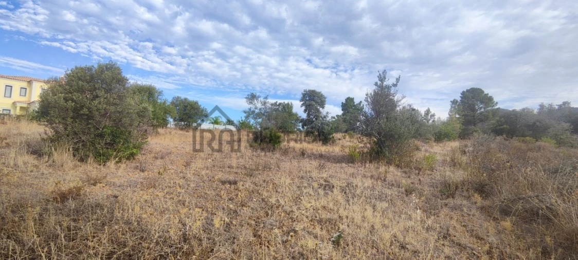 Terreno para Venda em Salir Foto 1