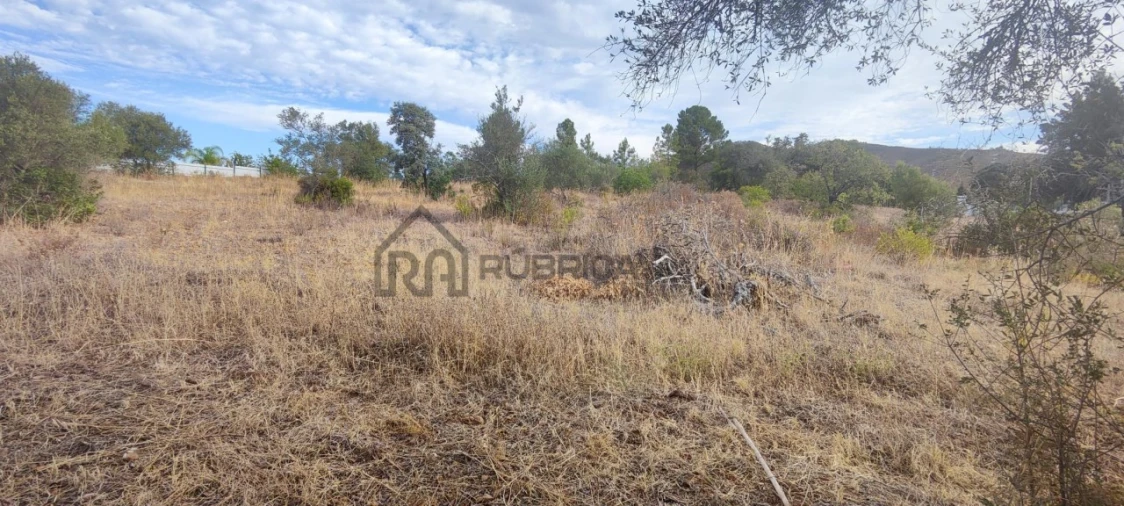 Terreno para Venda em Salir Foto 2