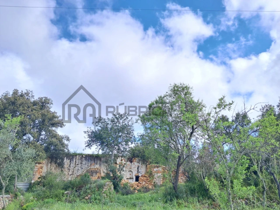Terreno para Venda em Loule (São Clemente) Foto 2