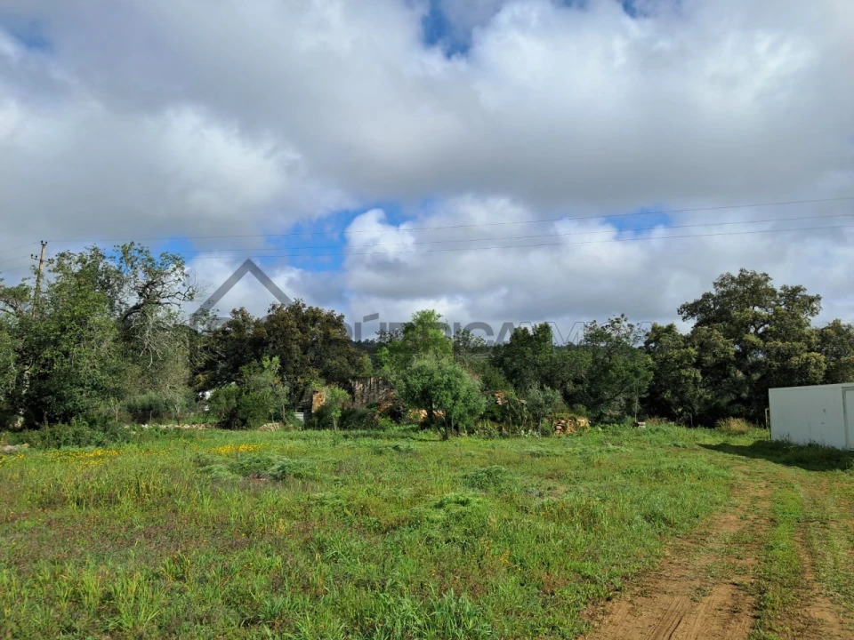 Terreno para Venda em Loule (São Clemente) Foto 6