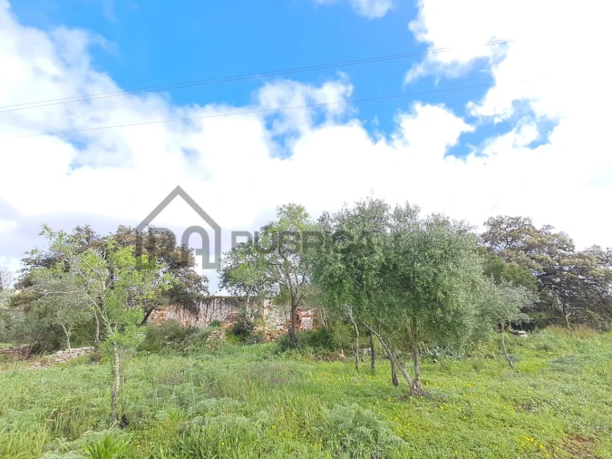 Terreno para Venda em Loule (São Clemente)