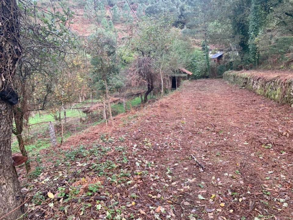 Terreno para Venda em Covas Foto 11
