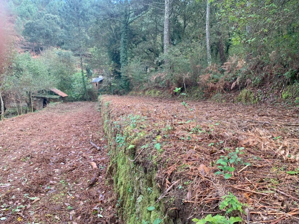 Terreno para Venda em Covas Foto 13