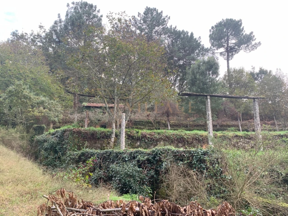 Terreno para Venda em Covas Foto 18