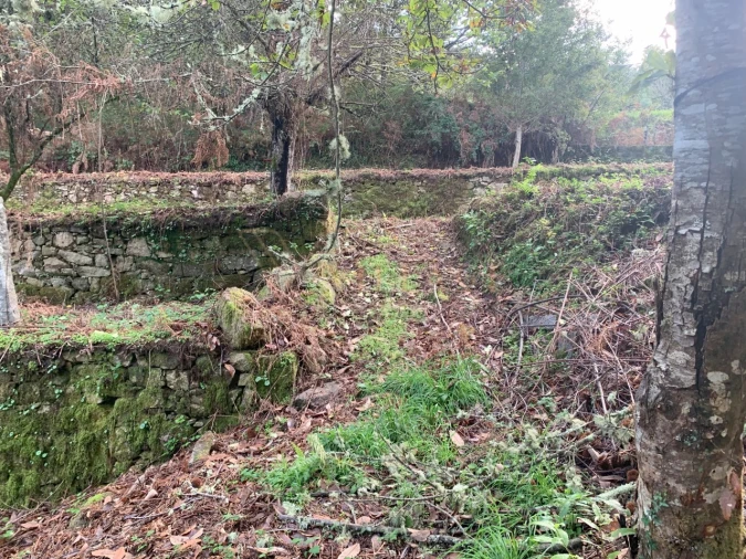 Terreno para Venda em Covas Foto 9