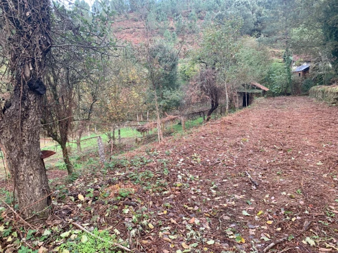 Terreno para Venda em Covas Foto 12