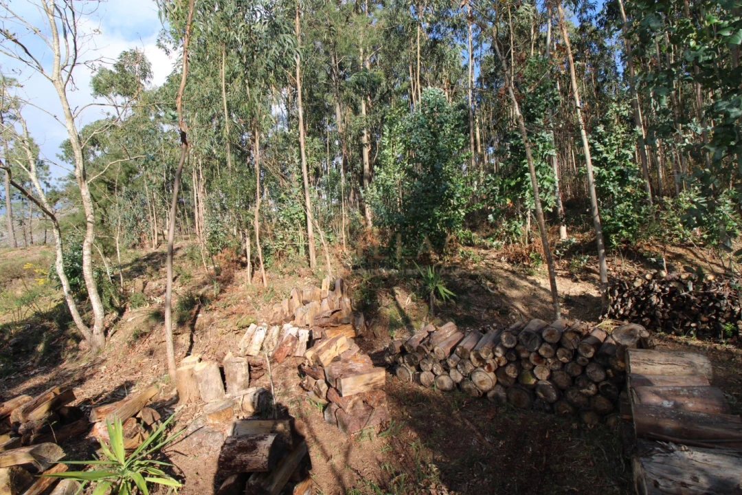 Terreno para Venda em Loivo Foto 2