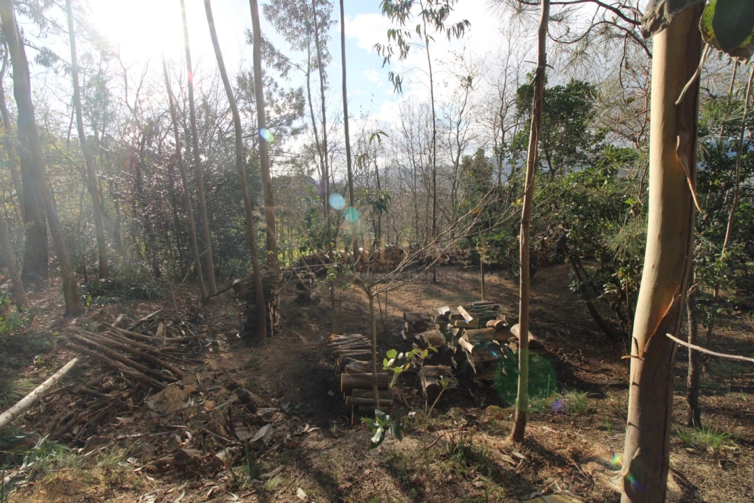 Terreno para Venda em Loivo Foto 4
