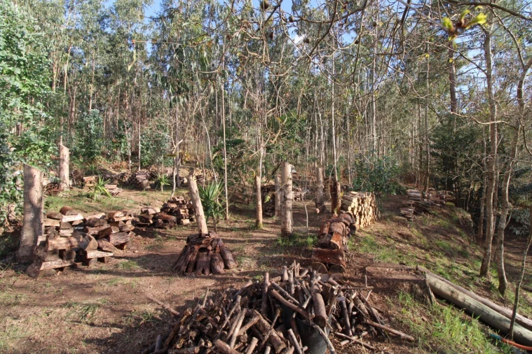 Terreno para Venda em Loivo Foto 3