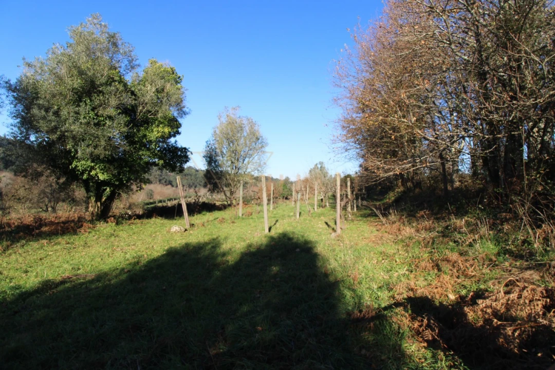 Terreno para Venda em Cornes Foto 1
