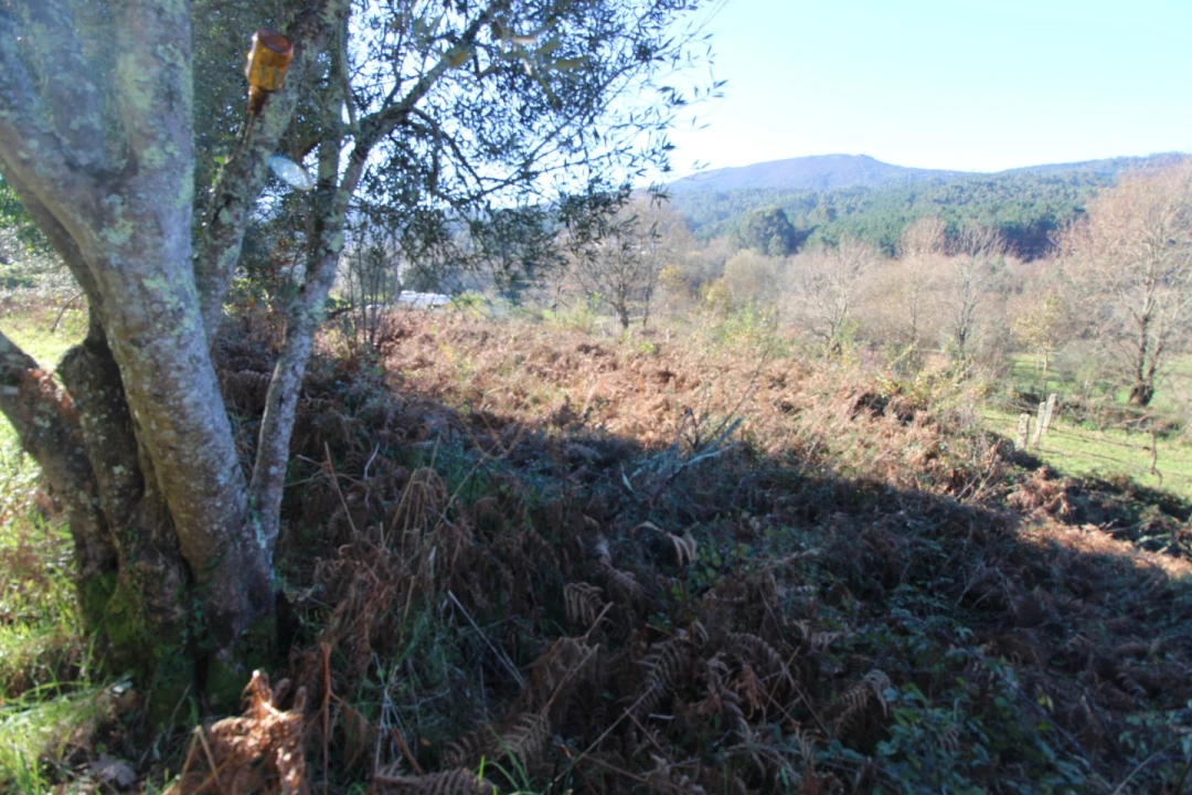 Terreno para Venda em Cornes Foto 7
