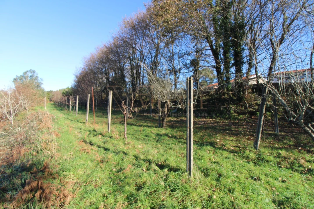 Terreno para Venda em Cornes Foto 10