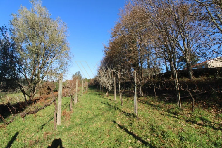Terreno para Venda em Cornes Foto 2