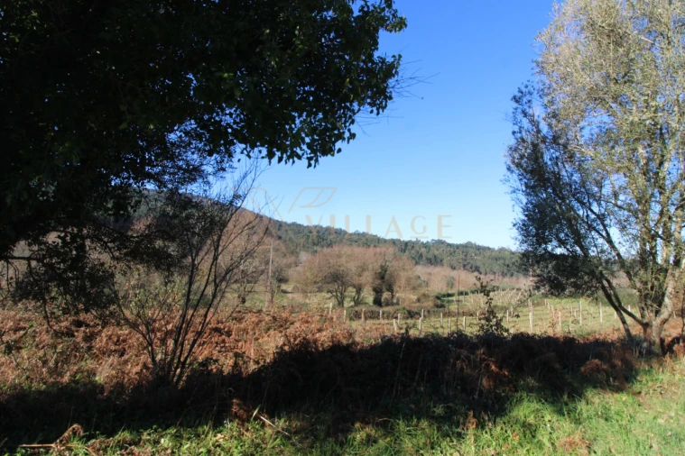 Terreno para Venda em Cornes Foto 4