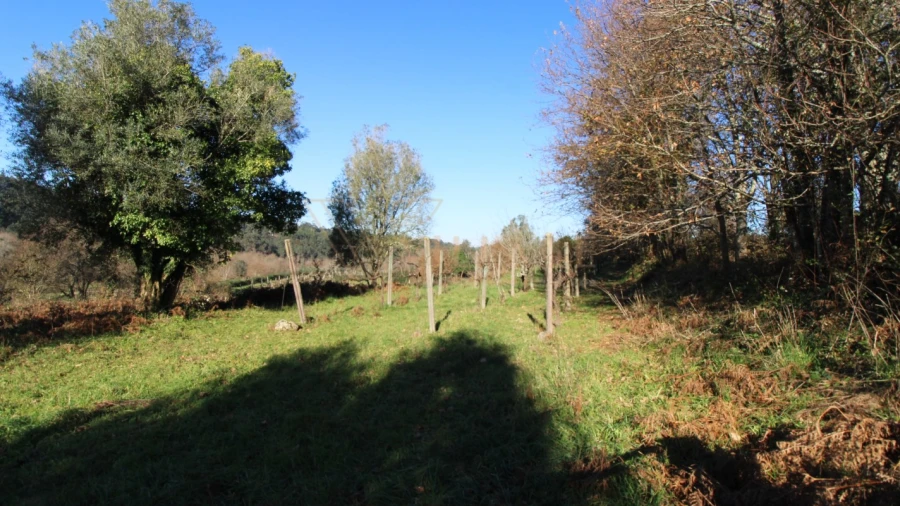 Terreno para Venda em Cornes