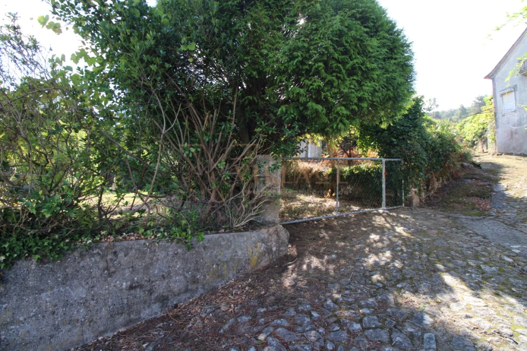 Terreno para Venda em Gondarem Foto 3