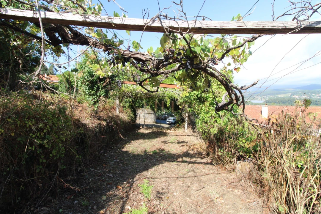 Terreno para Venda em Gondarem Foto 20