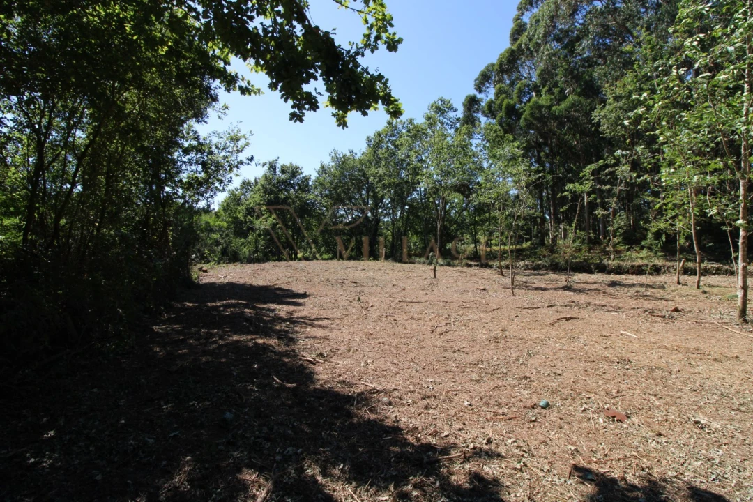 Terreno para Venda em Seixas Foto 4