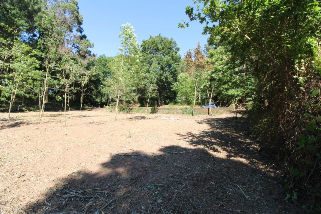 Terreno para Venda em Seixas Foto 7